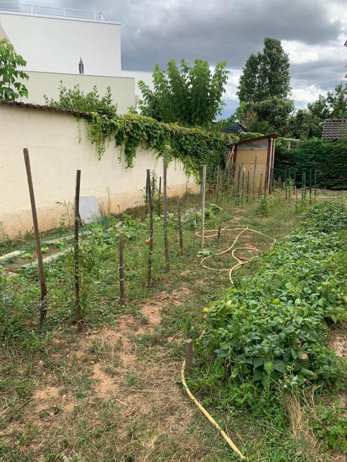 T2 Independant Proche Ol Stadium Et Salle Ldlc Arena Meyzieu Luaran gambar